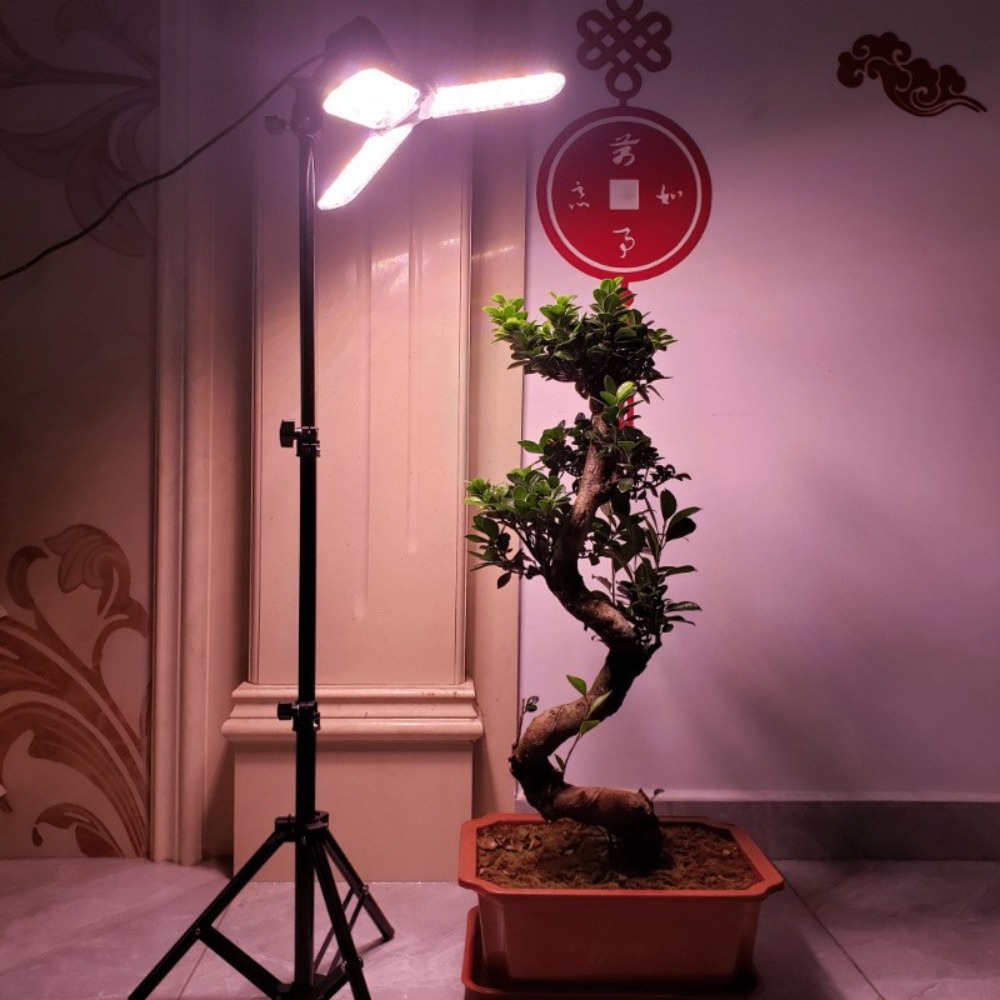 Light Bulb Stand 2M, E27 AC So - Photography Lighting Studio review and price